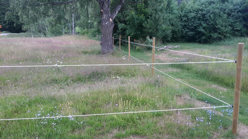 Bjaerkeryd Soedergard Bed & Stable Villa Kisa Bagian luar foto